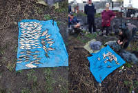 В Уланівській громаді зловили браконьєрів