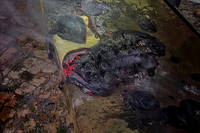 У Хмільнику чоловік ледь не згорів заживо