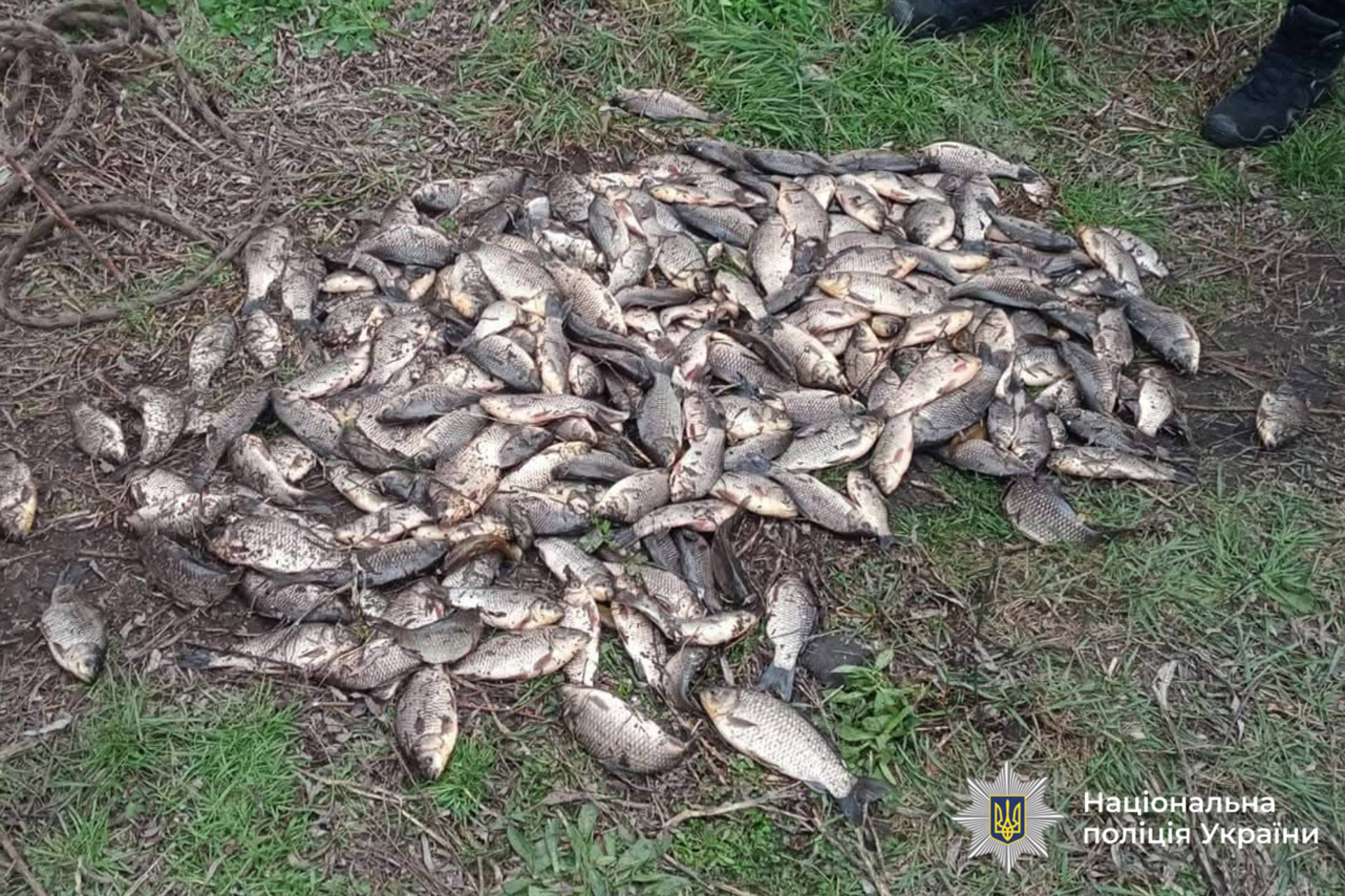 Понад 7 мільйонів гривень збитків наніс чоловік Хмільницькій громаді