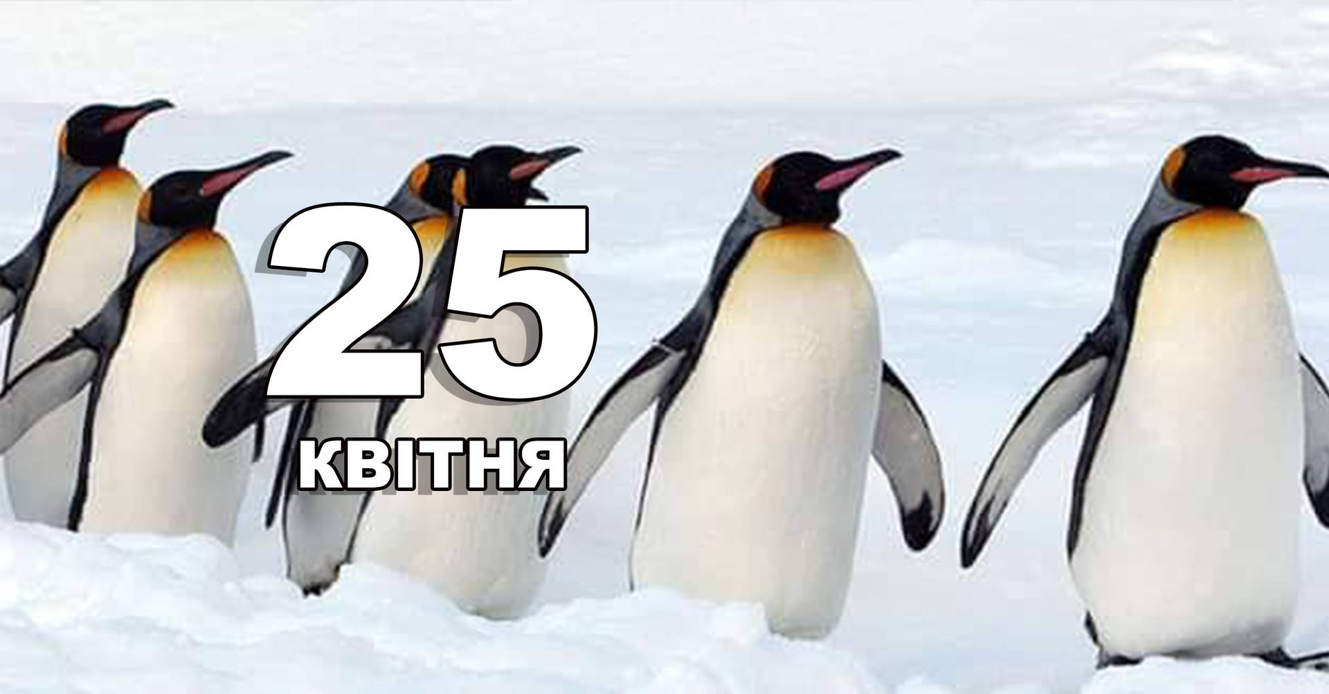 25 квітня. Що відзначають в цей день?