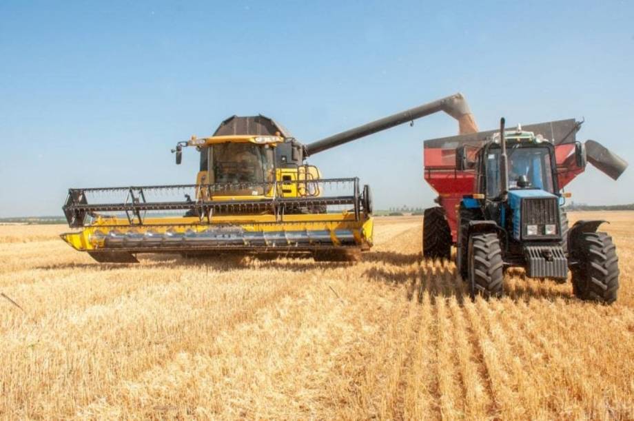 Урожай під загрозою: російські атаки портів можуть коштувати Україні мільярди доларів